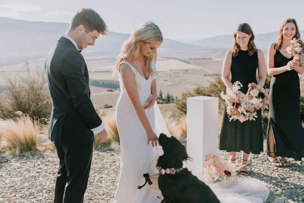 Dog giving the rings to the bride at the ceremony