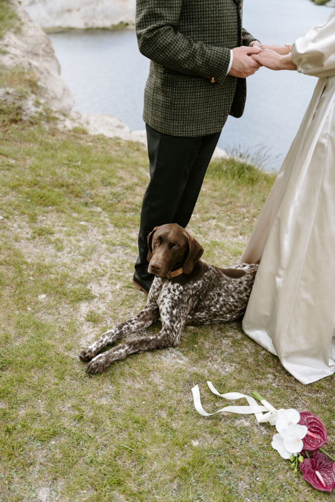 Close up of bride and groom with their dog laying on the ground between them looking at the camera.